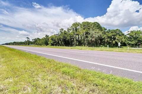 Land in Crystal River, Florida № 1910414 - photo 14