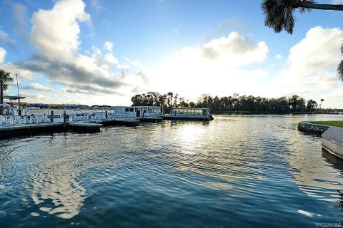 Land in Crystal River, Florida № 1910414 - photo 4