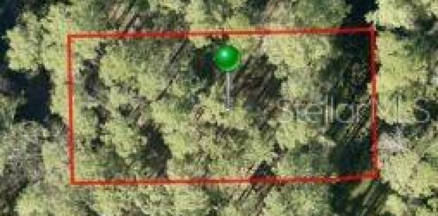 Land in DeLand, Florida № 2225234