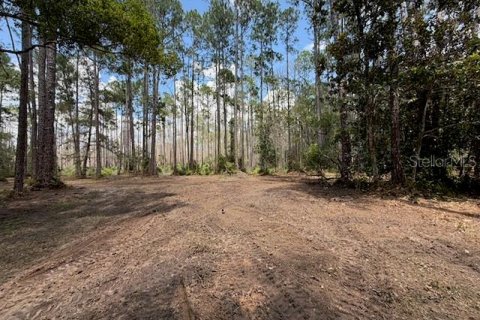 Land in DeLand, Florida № 2225234 - photo 4