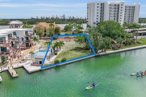 Land in Sarasota, Florida № 2215116 - photo 3
