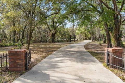 House in Seffner, Florida 4 bedrooms, 633.78 sq.m. № 1550890 - photo 10