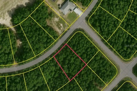 Land in Ocklawaha, Florida № 2161463