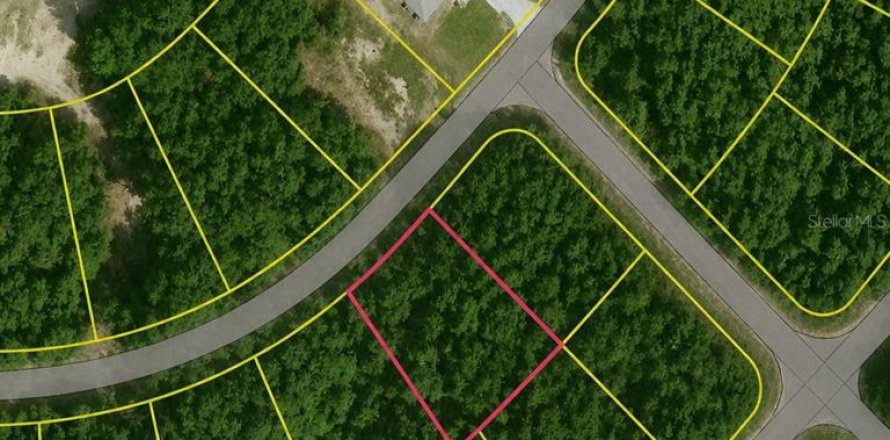 Land in Ocklawaha, Florida № 2161463