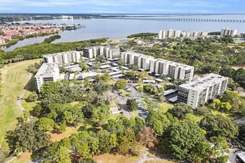 Copropriété à louer à Clearwater, Floride: 2 chambres, 99.41 m2 № 1793593 - photo 19