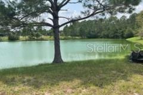 Land in Palm Coast, Florida № 1129436 - photo 2
