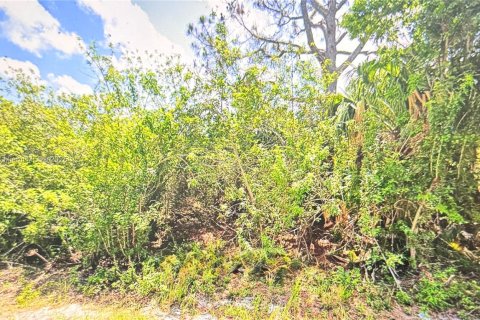Terreno en venta en Palm Bay, Florida № 1692497 - foto 1