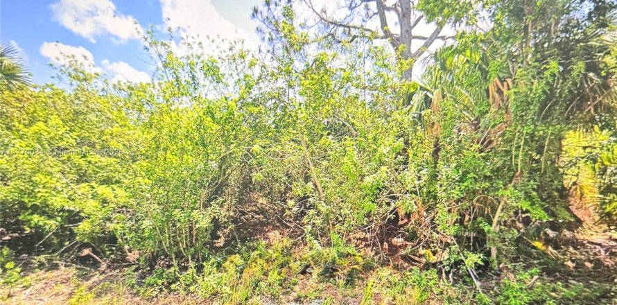 Terreno en Palm Bay, Florida № 1692497