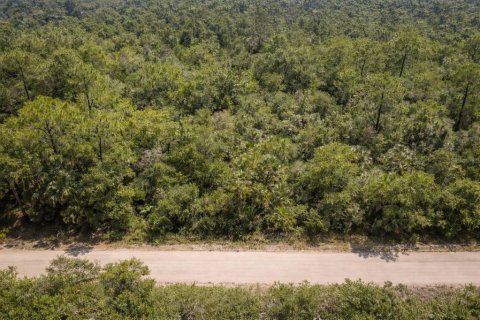 Land in Lake Placid, Florida № 2228725