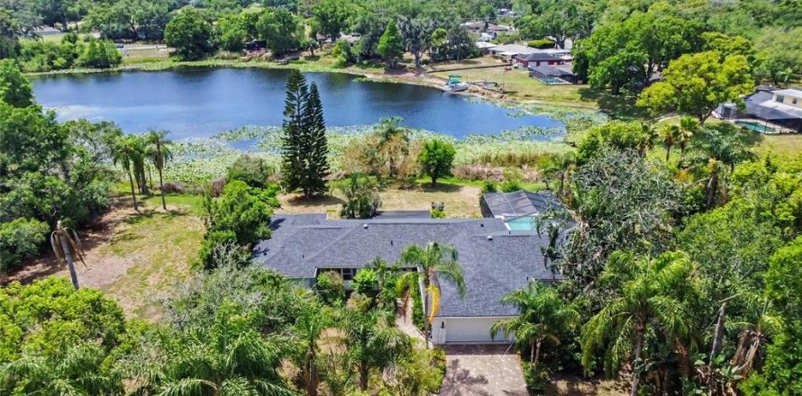 House in Tampa, Florida 3 bedrooms, 265.33 sq.m. № 2116115
