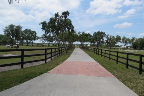 House in Odessa, Florida 3 bedrooms, 117.06 sq.m. № 1644471 - photo 4