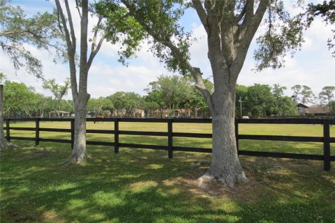 House in Odessa, Florida 3 bedrooms, 117.06 sq.m. № 1644471 - photo 14