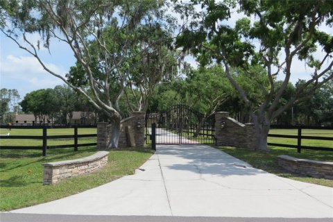 House in Odessa, Florida 3 bedrooms, 117.06 sq.m. № 1644471 - photo 2