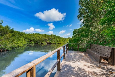 Copropriété à louer à Clearwater, Floride: 2 chambres, 79.25 m2 № 1829780 - photo 29