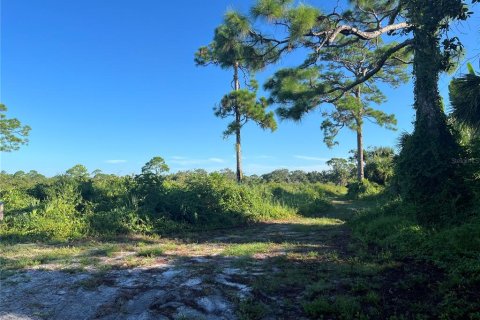 Land in Venice, Florida № 1909067 - photo 13