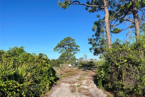 Land in Venice, Florida № 1909067 - photo 8
