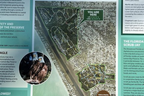 Land in Venice, Florida № 1909067 - photo 14