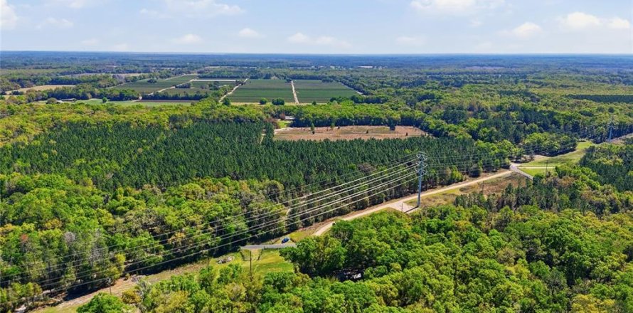 Land in Archer, Florida № 2267308