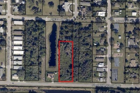 Land in Palm Bay, Florida № 1812725 - photo 1