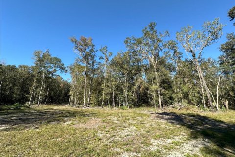 Land in Reddick, Florida № 1561189 - photo 6