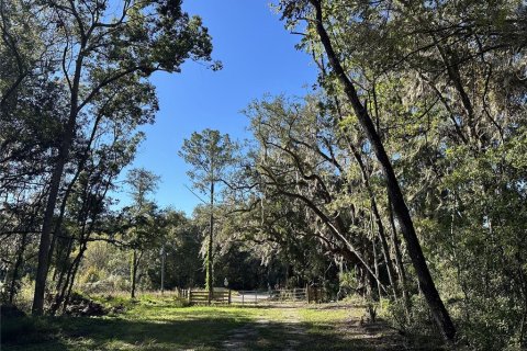 Land in Reddick, Florida № 1561189 - photo 9