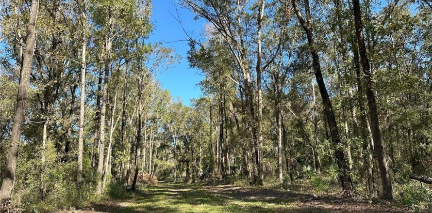 Land in Reddick, Florida № 1561189