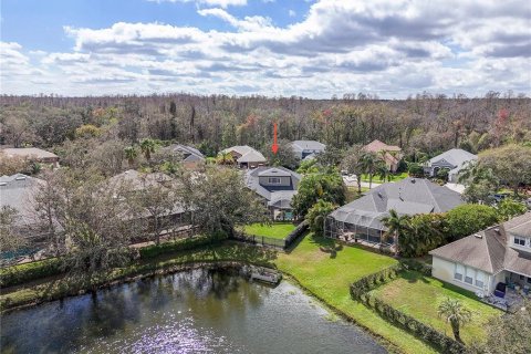 Casa en alquiler en Tarpon Springs, Florida, 5 dormitorios, 308.44 m2 № 1795796 - foto 10