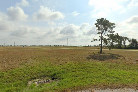 Terrain à Placida, Floride № 2206864