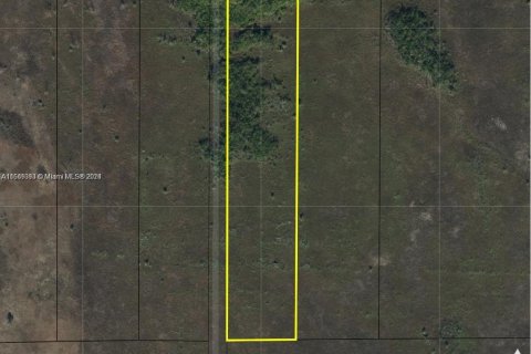 Commercial property in Homestead, Florida № 1862779 - photo 2