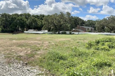 Terreno en venta en Seffner, Florida № 1643394 - foto 3