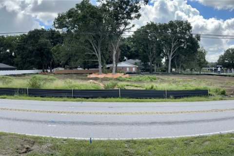 Terreno en venta en Seffner, Florida № 1643394 - foto 2