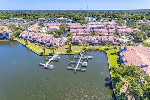 Condo à Tampa, Floride, 4 chambres  № 2138741