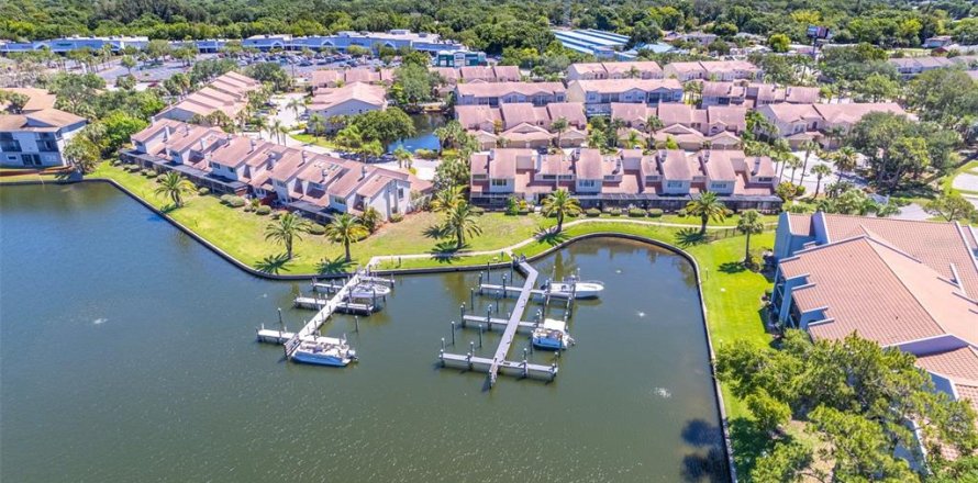 Condo à Tampa, Floride, 4 chambres № 2138741