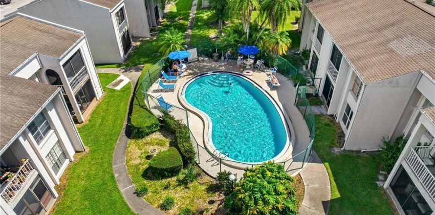 Condo in Clearwater, Florida, 1 bedroom  № 2429041