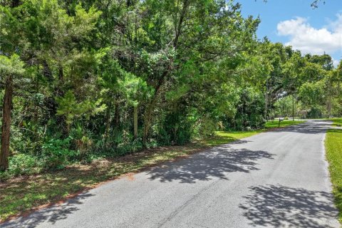 Terreno en venta en Inglis, Florida № 2225919 - foto 3
