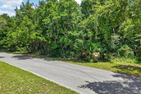 Terreno en Inglis, Florida № 2225919
