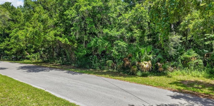 Terreno en Inglis, Florida № 2225919