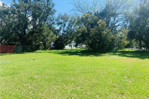 Land in Kissimmee, Florida № 2393554