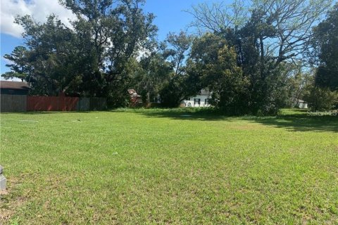 Land in Kissimmee, Florida № 2393554 - photo 4
