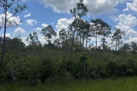 Land in Brooksville, Florida № 1555580 - photo 5