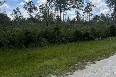 Land in Brooksville, Florida № 1555580 - photo 3