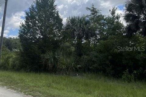 Land in Brooksville, Florida № 1555580 - photo 10