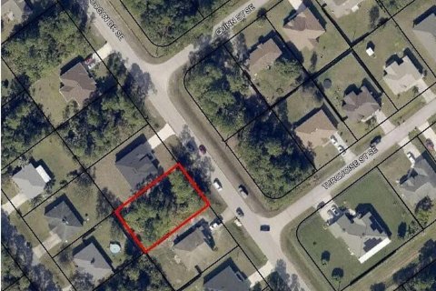 Land in Palm Bay, Florida № 2396299 - photo 2