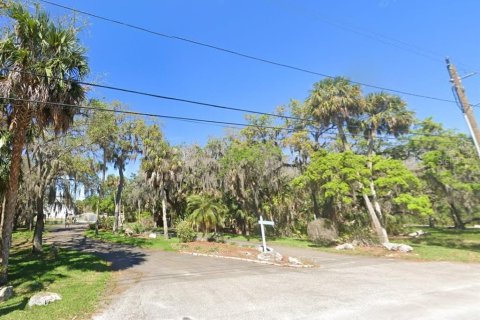 Land in Port Richey, Florida № 2101397 - photo 8