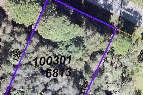 Land in North Port, Florida № 2162566 - photo 2