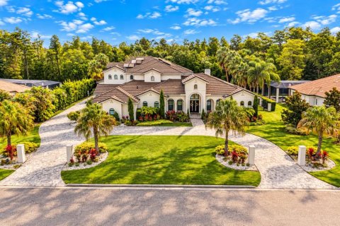 House in Lutz, Florida 4 bedrooms, 667.22 sq.m. № 2409969 - photo 5