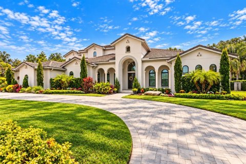 House in Lutz, Florida 4 bedrooms, 667.22 sq.m. № 2409969 - photo 4