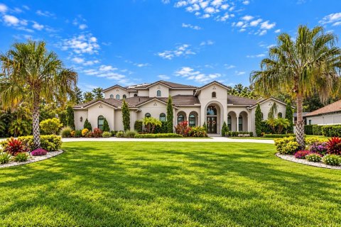 House in Lutz, Florida 4 bedrooms, 667.22 sq.m. № 2409969