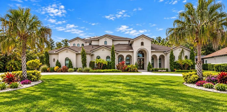 House in Lutz, Florida 4 bedrooms, 667.22 sq.m. № 2409969