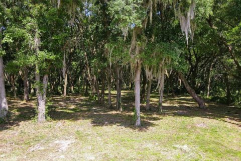 Land in Leesburg, Florida № 1144477 - photo 1